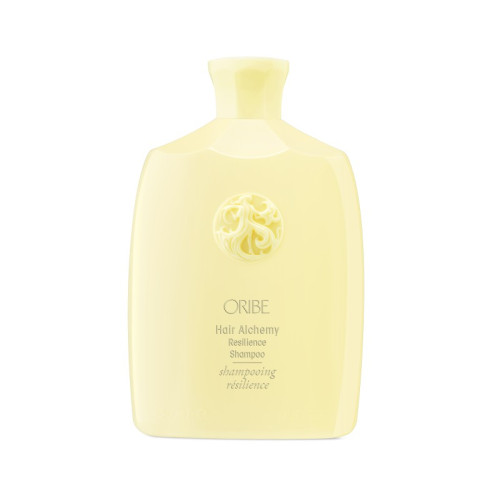 HAIR ALCHEMY RESILIENCE SHAMPOO – strengthening shampoo for fragile hair