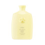 HAIR ALCHEMY RESILIENCE SHAMPOO – укрепляющий шампунь для ломких волос