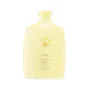 HAIR ALCHEMY RESILIENCE SHAMPOO – strengthening shampoo for fragile hair
