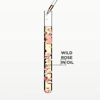 HUILE GLAZE DROPS - finishing oil for shine and softness